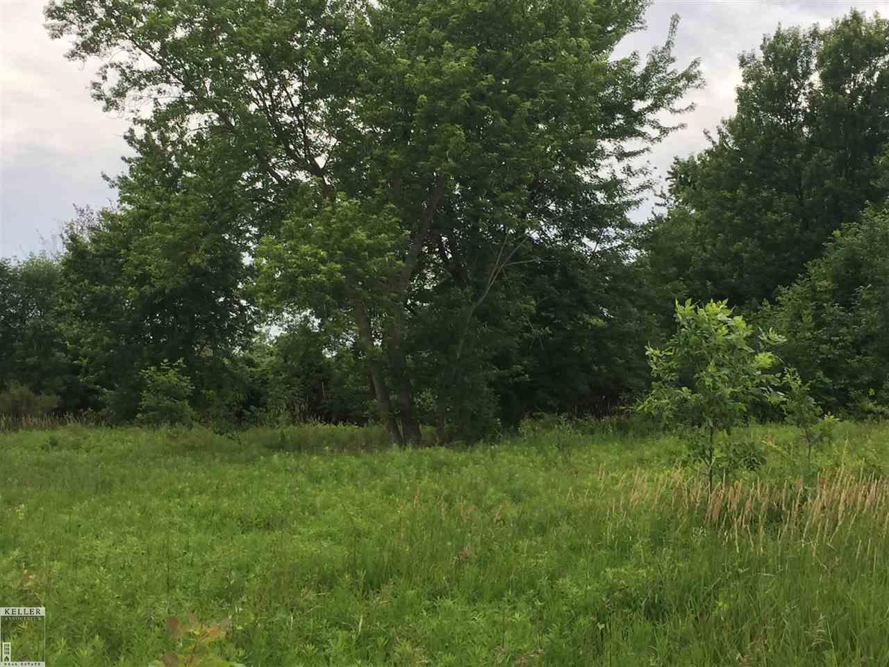 37 Mile Romeo, MI 48065 - Photo 5 of 10