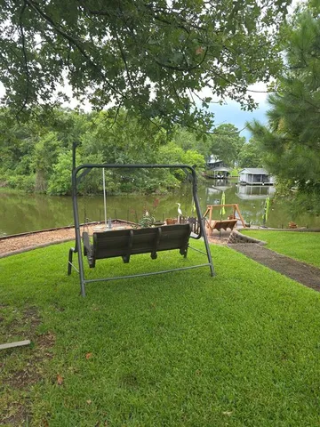 a view of a park with large trees
