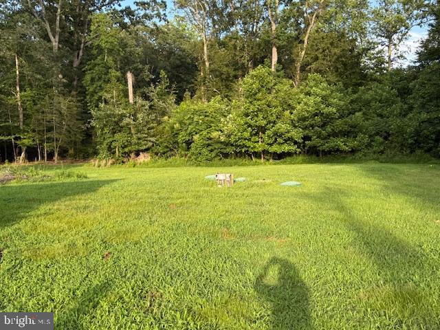 10105 Morgantown Road Newburg, MD 20664 - Photo 15 of 15 a view of a trees with a yard