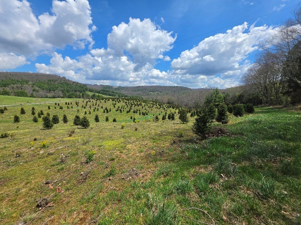 Tbd Cornflower Road Troutdale, VA 24378 - Photo 2 of 9 Gallery Image 2