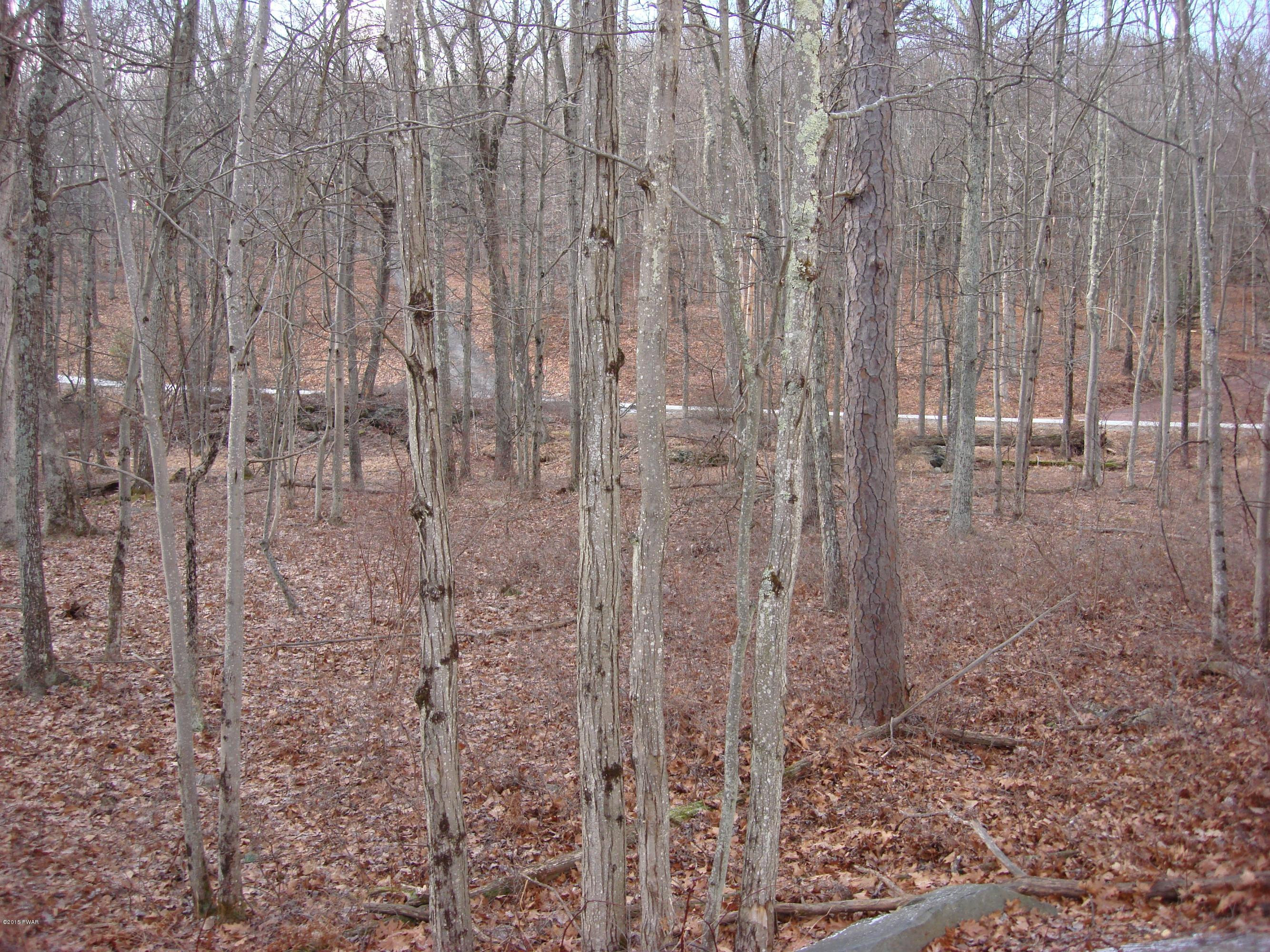 108 Springbrook Court Shohola, PA 18458 - Photo 92 of 97 Gallery Image 92