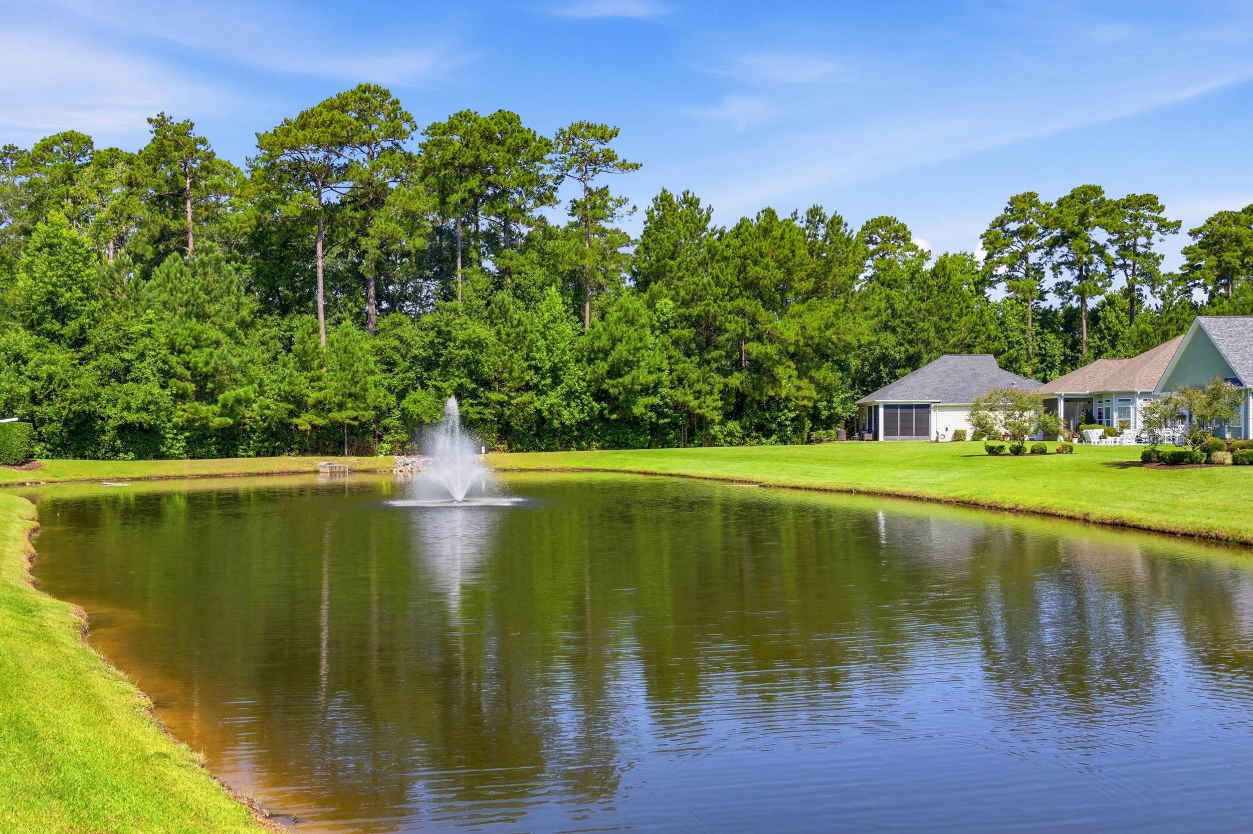 673 Grand Cypress Way Murrells Inlet, SC 29576 - Photo 32 of 51
