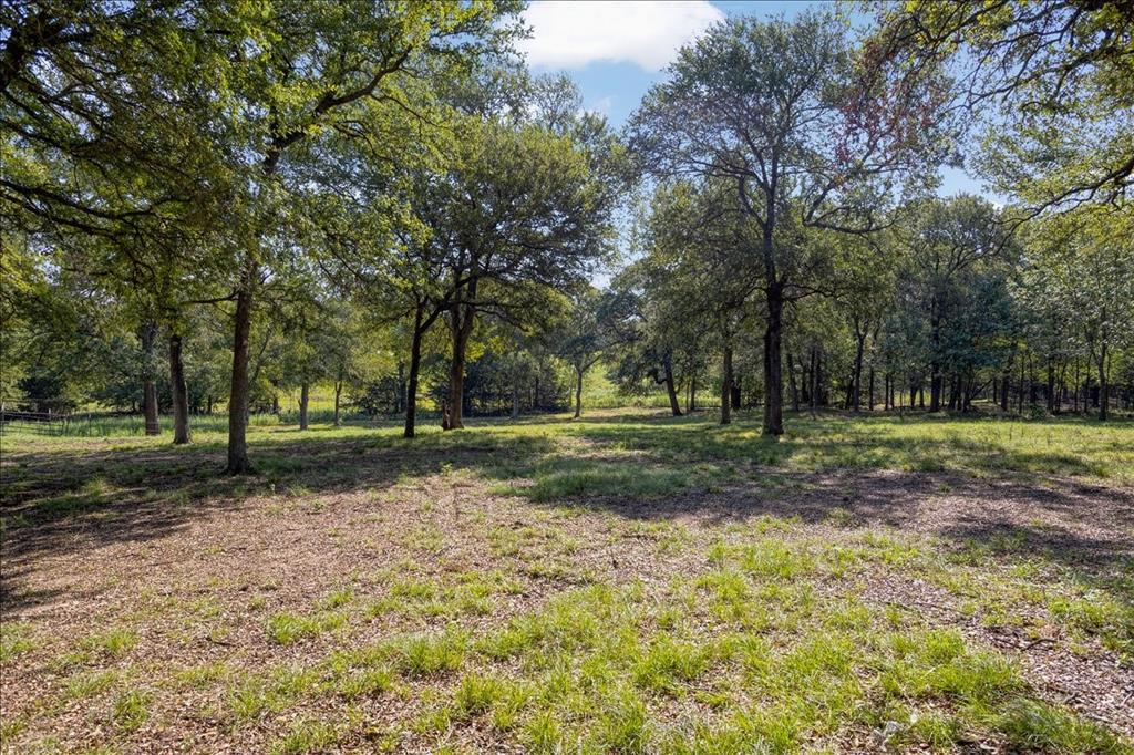 5286 Preston Road, Unit LOT1) Denison, TX 75020 - Photo 7 of 12 Lot 1 - Ground view - rear of property