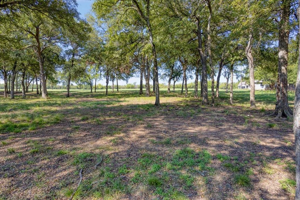 5286 Preston Road, Unit LOT1) Denison, TX 75020 - Photo 8 of 12 Lot 1 - Ground view - rear of property