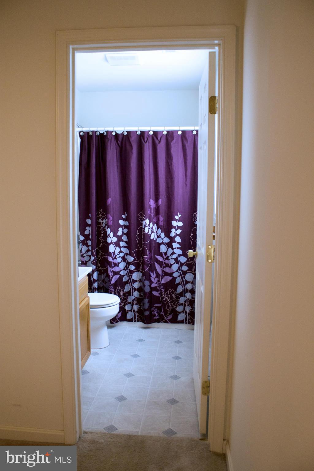 6178 Harmony Road Preston, MD 21655 - Photo 21 of 21 Bath (Master)