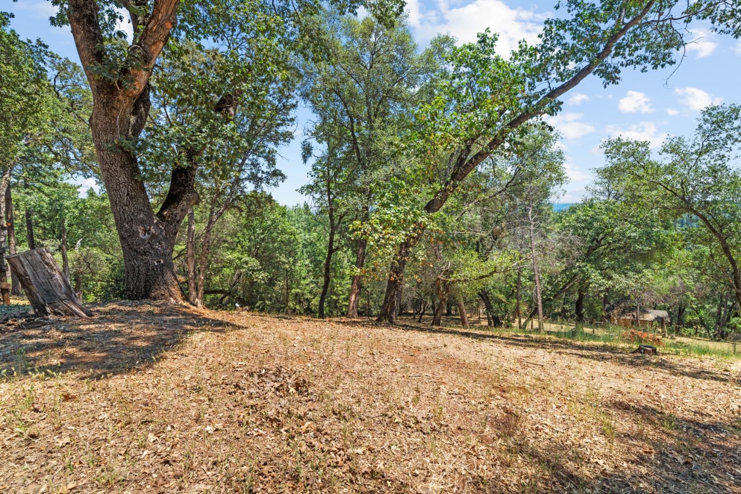 24769 Ridge Top Court Auburn, CA 95602 - Photo 41 of 52