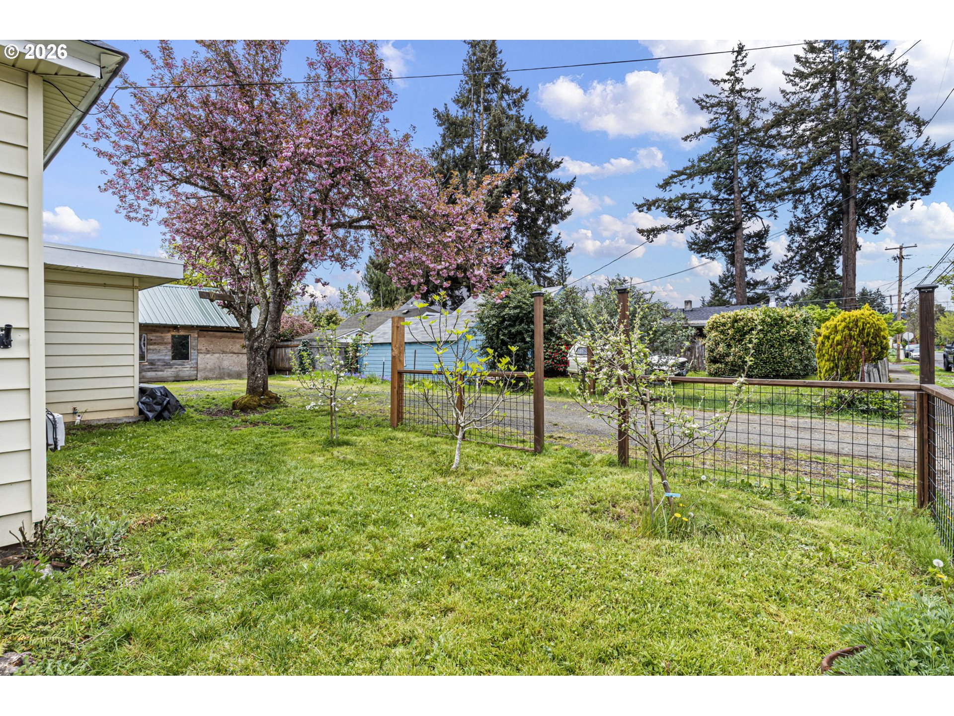 333 Madison Avenue Cottage Grove, OR 97424 - Photo 10 of 48