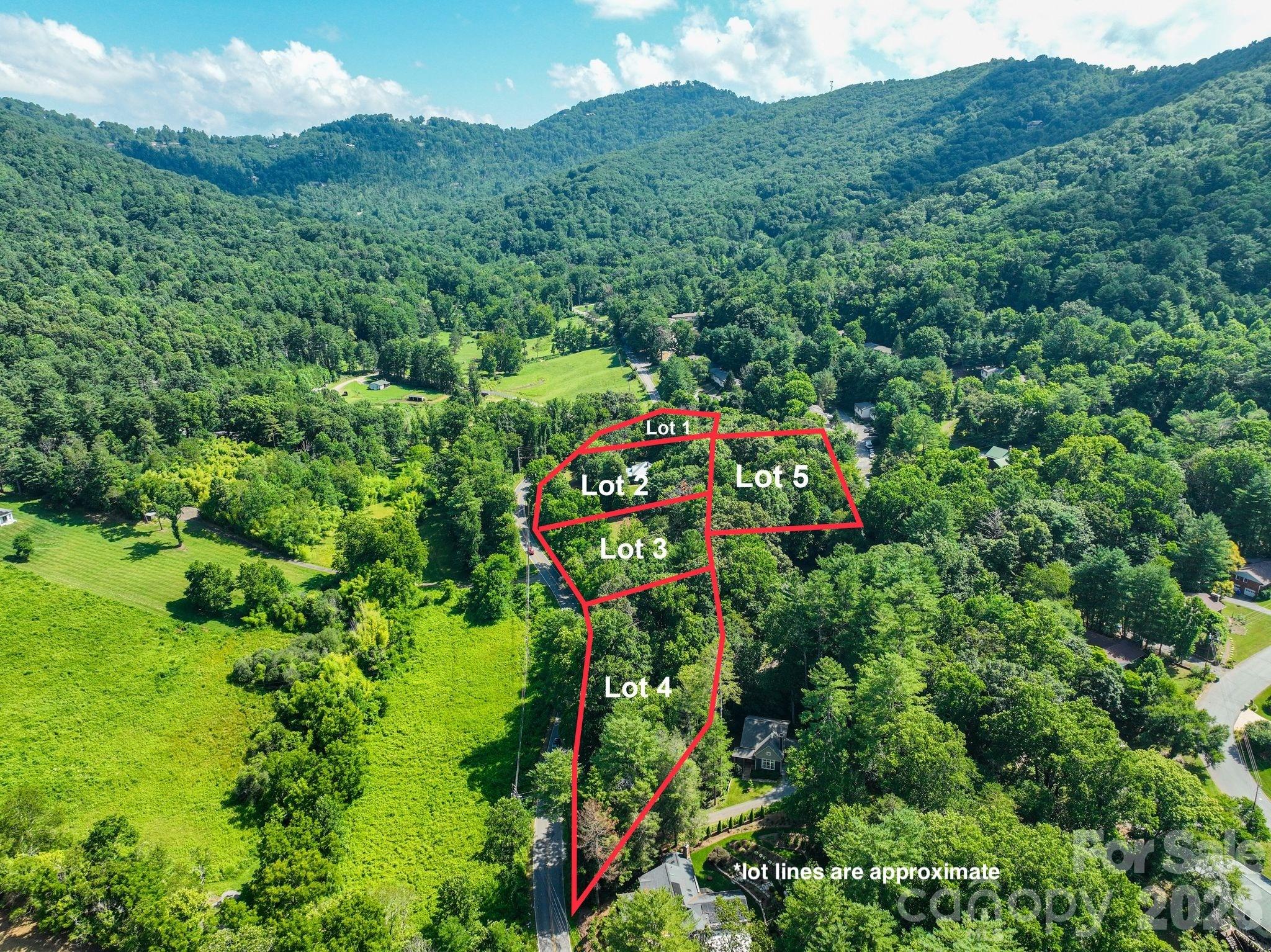 353 Chunns Cove Road Asheville, NC 28805 - Photo 4 of 4