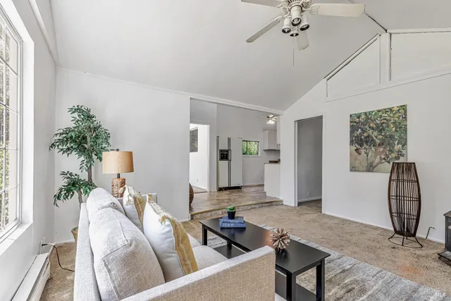 a living room with furniture and potted plants