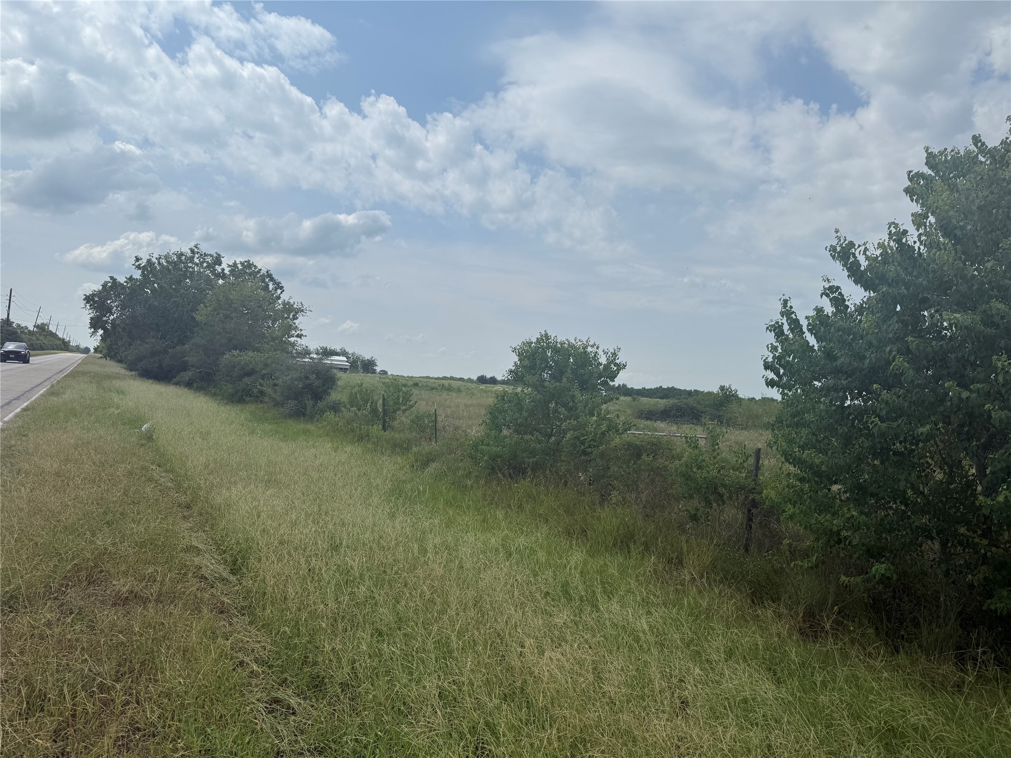 0 County Road 25 Damon, TX 77430 - Photo 3 of 6 a view of a field of grass and trees