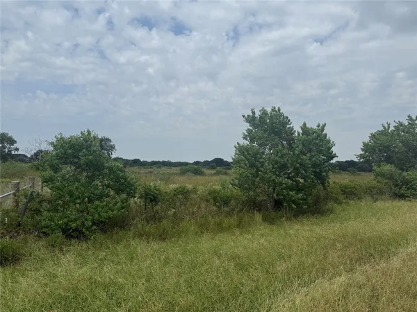 a view of a field of grass and trees