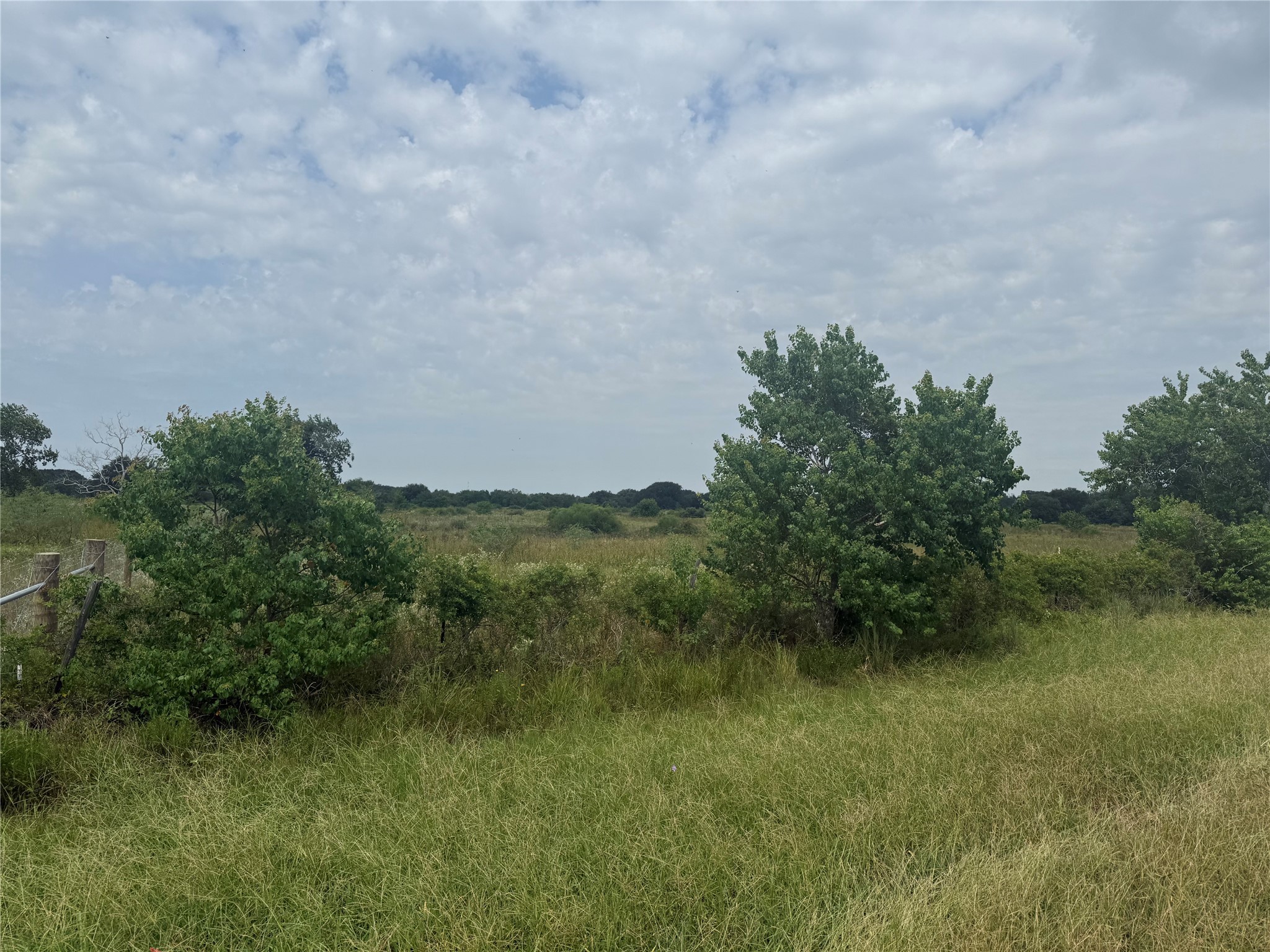 0 County Road 25 Damon, TX 77430 - Photo 4 of 6 a view of a field of grass and trees