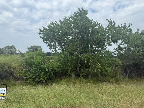 a view of a yard