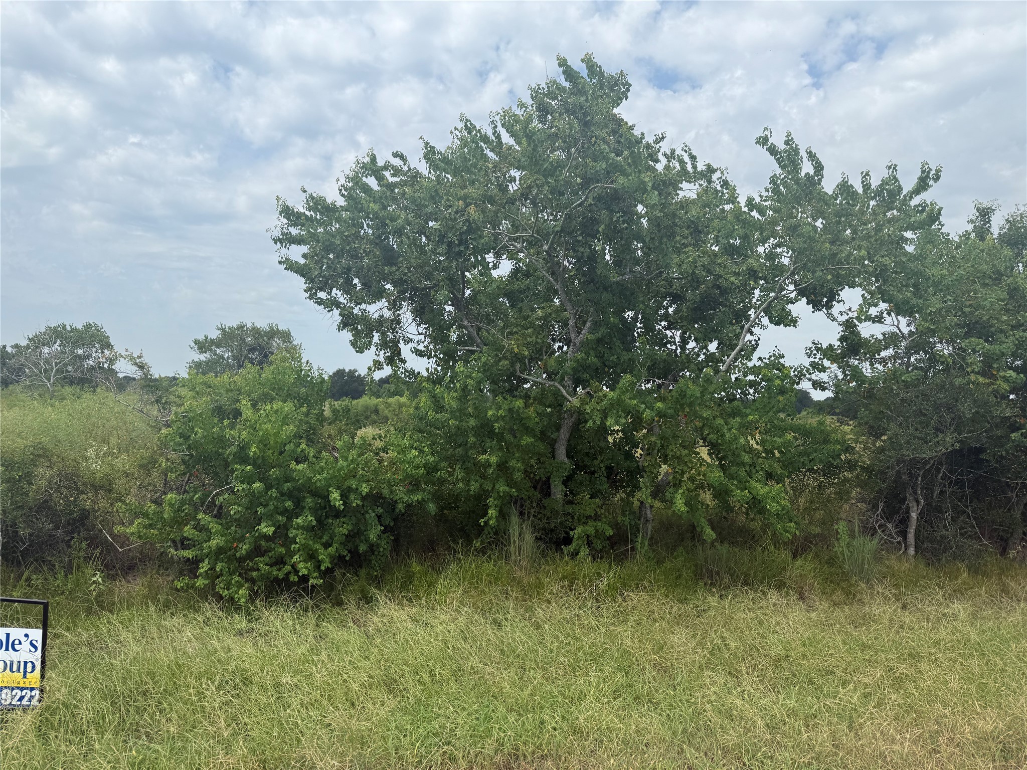 0 County Road 25 Damon, TX 77430 - Photo 5 of 6 a view of a yard