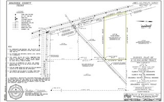 0 County Road 25 Damon, TX 77430 - Photo 6 of 6