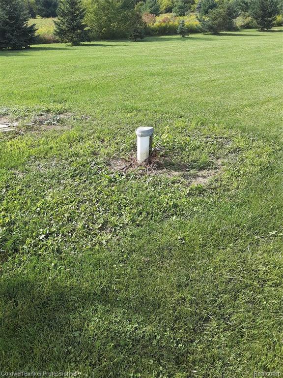 7041 Gosline Road Brown City, MI 48416 - Photo 2 of 4 Gallery Image 2