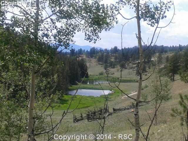 Charming View View Divide Divide, CO 80814 - Photo 1 of 18 View From Home Site Overlooking 2 of Your Own Ponds!