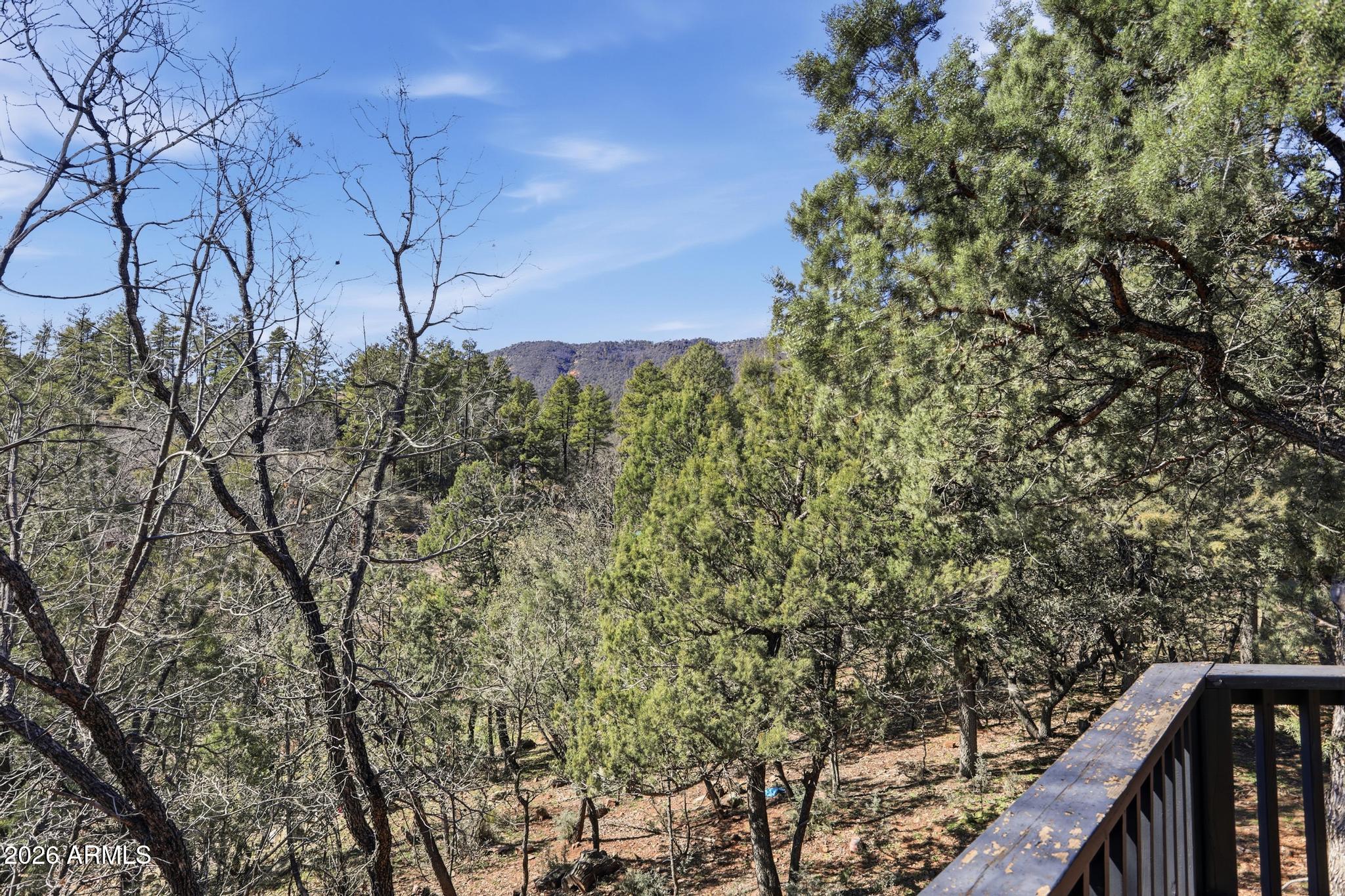 3422 Limestone Way Pine, AZ 85544 - Photo 29 of 35 a view of a forest