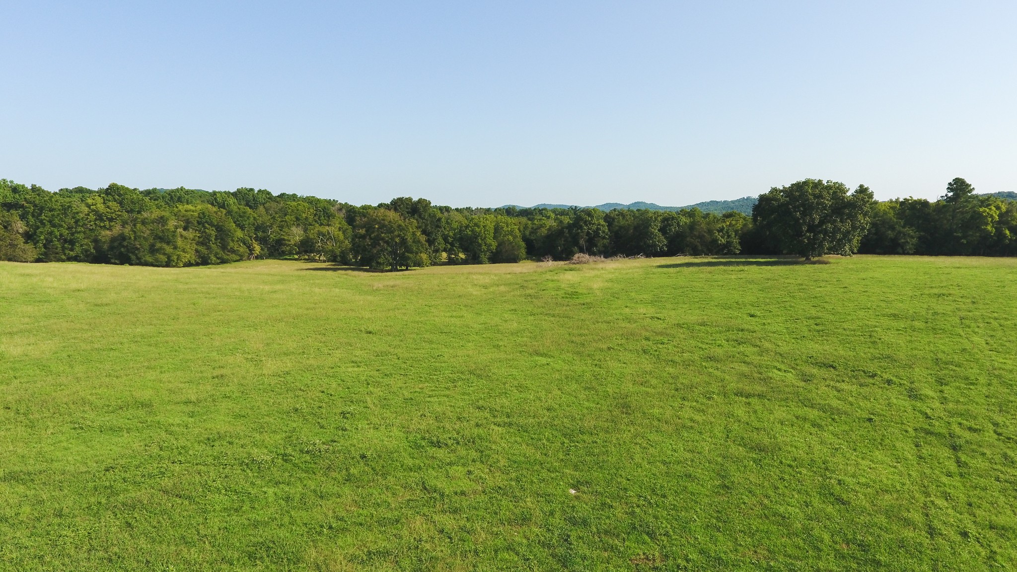 2 Coop Road Bell Buckle, TN 37020 - Photo 3 of 11 Gallery Image 3