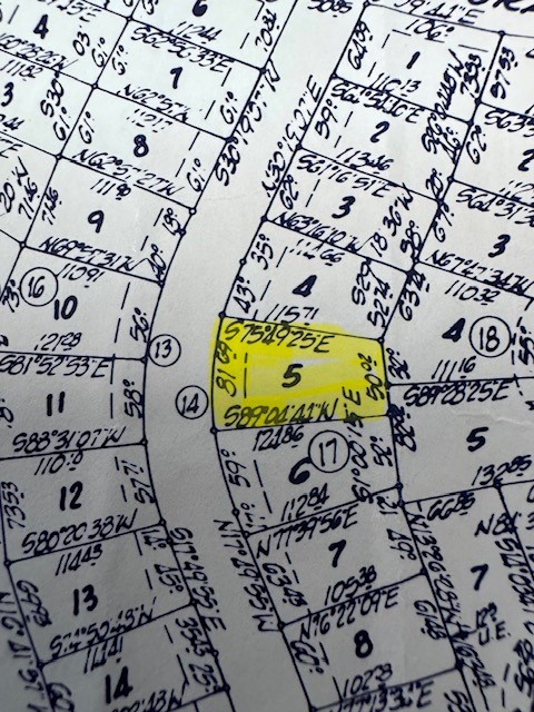 Tbd5 Spreading Oak Trinity, TX 75862 - Photo 2 of 8