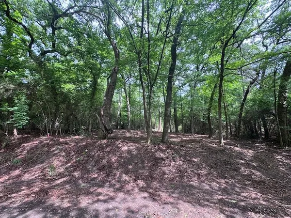 $1 | Tbd5 Spreading Oak, Trinity, TX 75862