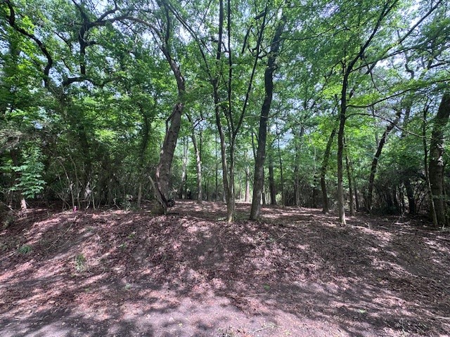 Tbd5 Spreading Oak Trinity, TX 75862 - Photo 3 of 8