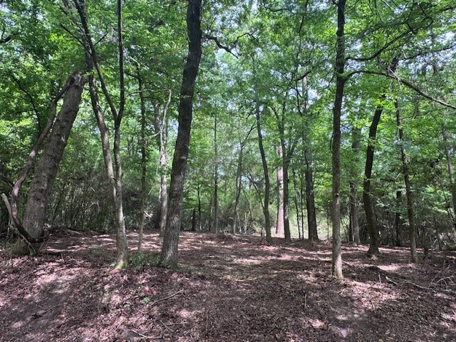 Tbd5 Spreading Oak Trinity, TX 75862 - Photo 4 of 8