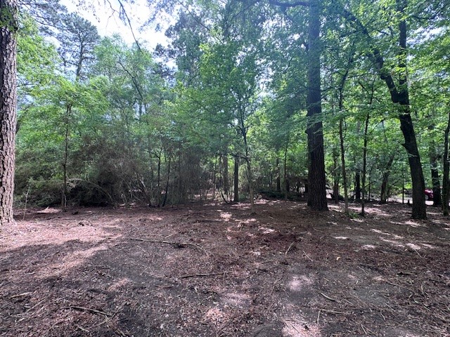 Tbd5 Spreading Oak Trinity, TX 75862 - Photo 5 of 8