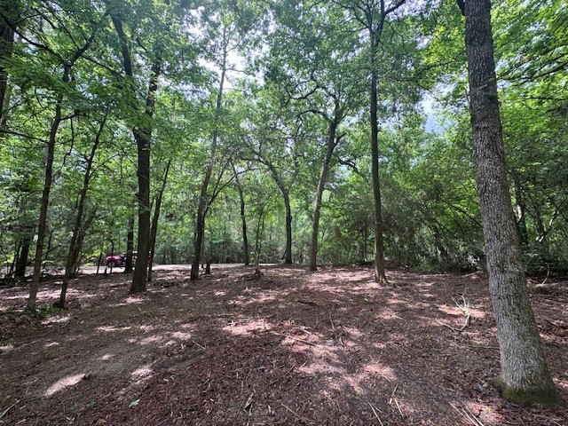 Tbd5 Spreading Oak Trinity, TX 75862 - Photo 6 of 8