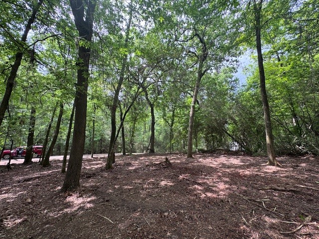 Tbd5 Spreading Oak Trinity, TX 75862 - Photo 7 of 8