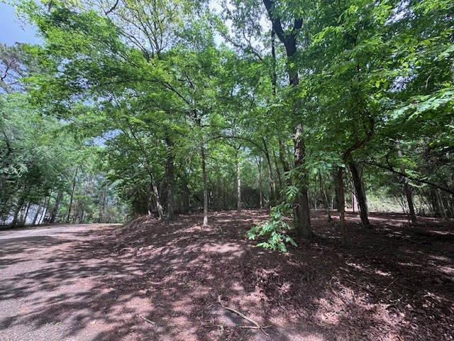 Tbd5 Spreading Oak Trinity, TX 75862 - Photo 8 of 8