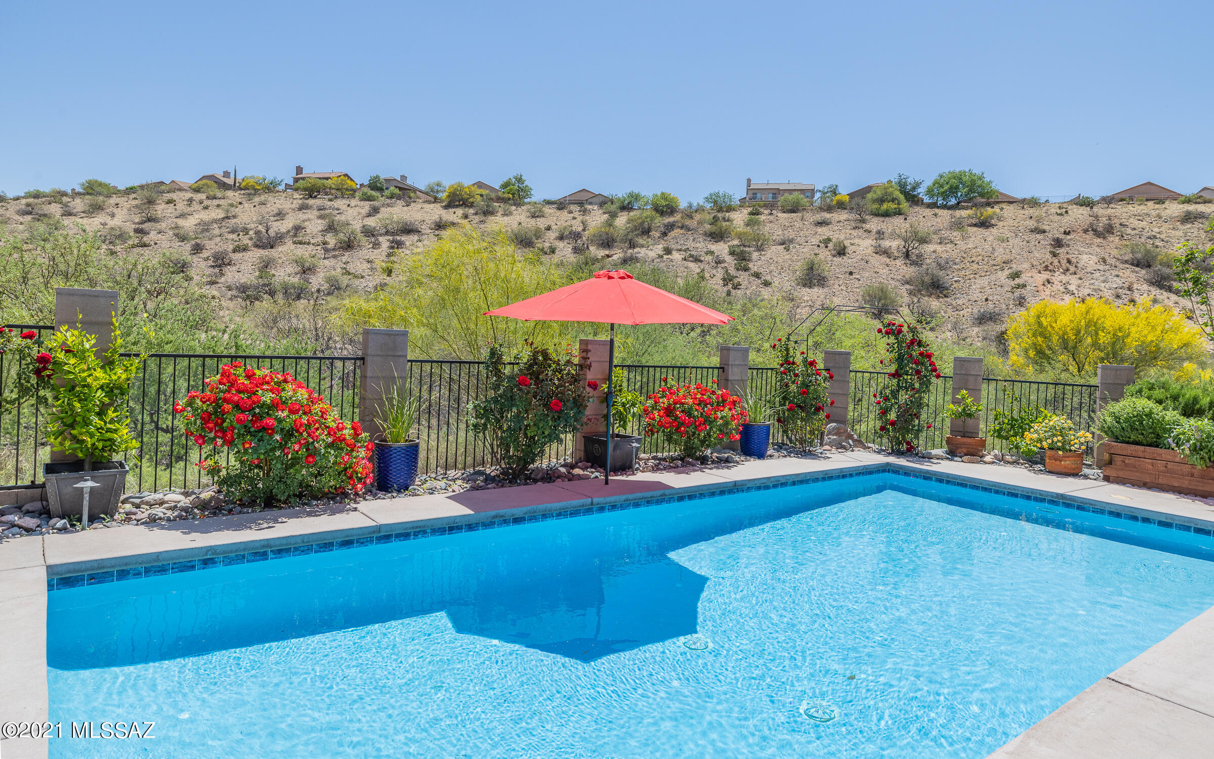 39223 Rodeo Buckle Drive Tucson, AZ 85739 - Photo 39 of 48