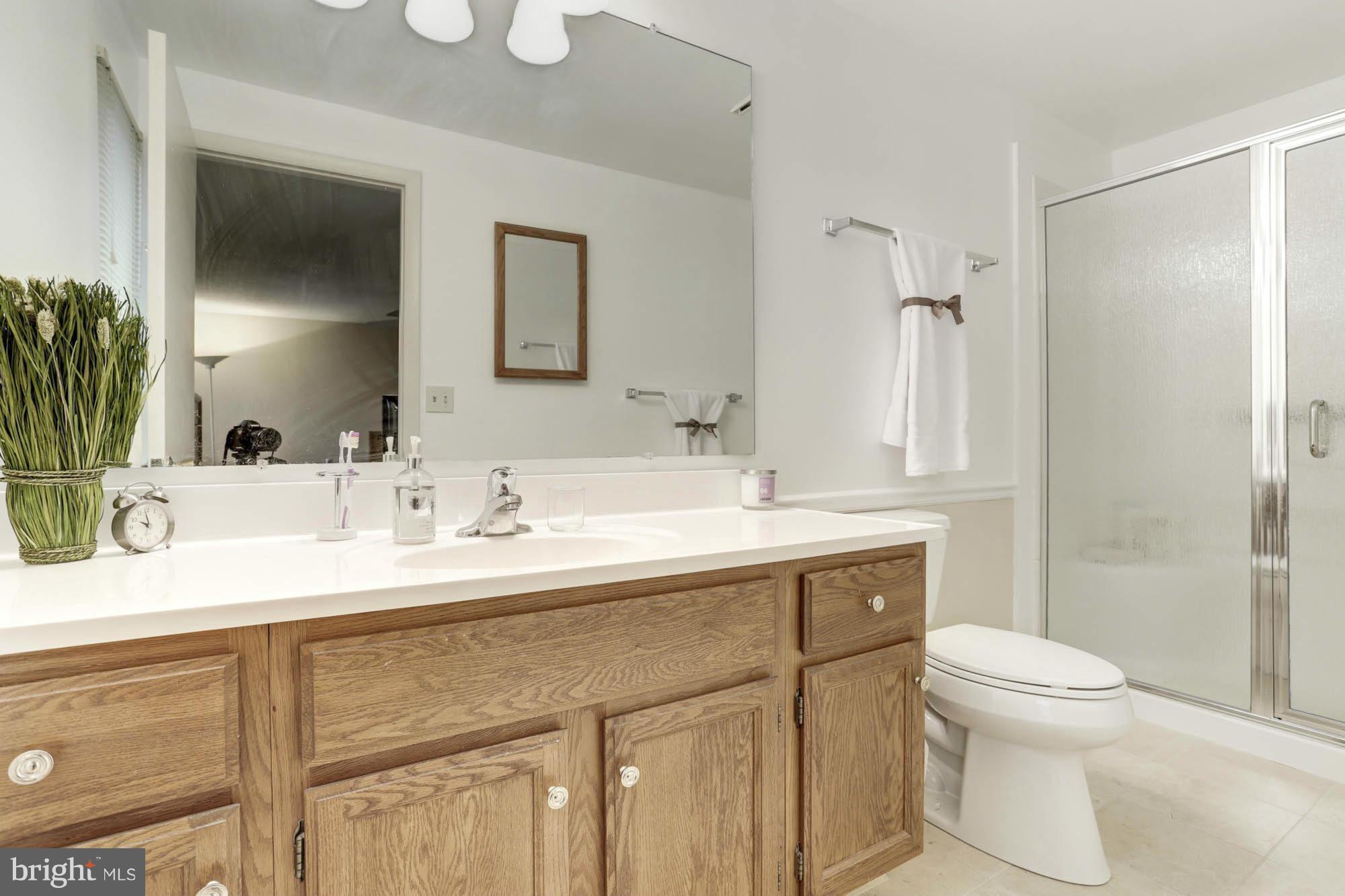 5515 Vantage Point Road Columbia, MD 21044 - Photo 17 of 29 Master Bathroom