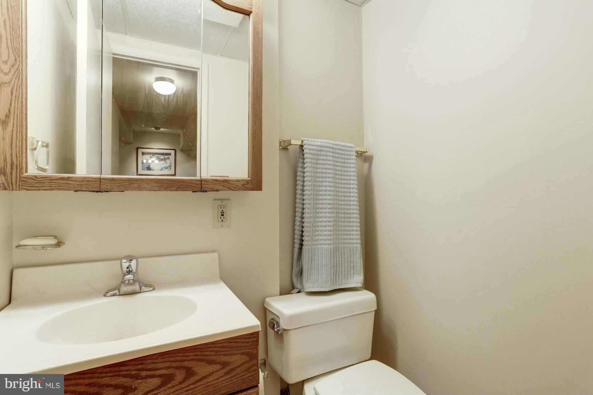 5515 Vantage Point Road Columbia, MD 21044 - Photo 21 of 29 Basement Bath