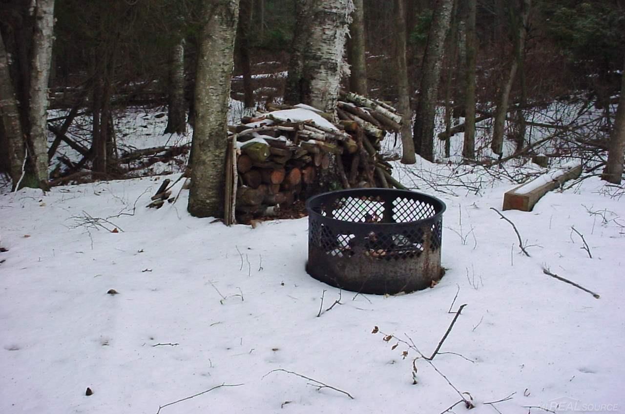 6228 Forester Road Carsonville, MI 48419 - Photo 25 of 30