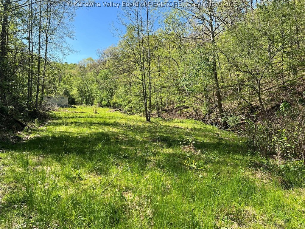 0 Upper Mud River Road Hamlin, WV 25523 - Photo 4 of 18 Gallery Image 4