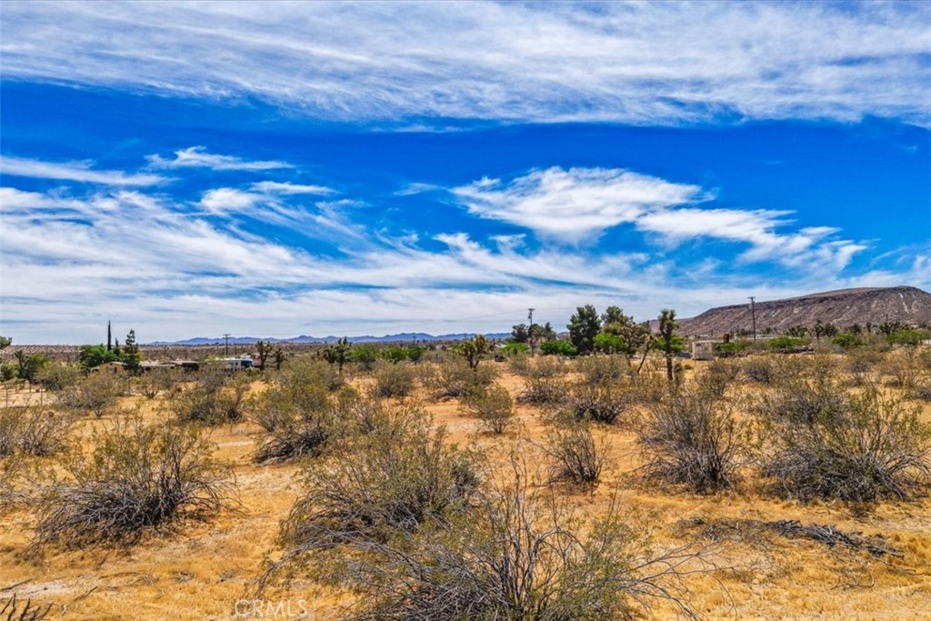 55926 Tanager Road Yucca Valley, CA 92284 - Photo 21 of 24