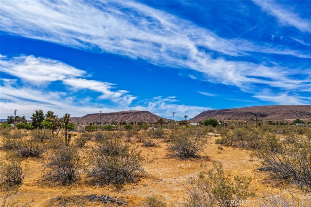 55926 Tanager Road Yucca Valley, CA 92284 - Photo 22 of 24
