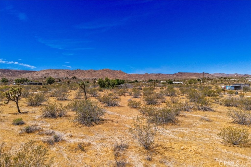 55926 Tanager Road Yucca Valley, CA 92284 - Photo 5 of 24