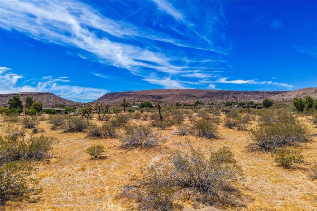 55926 Tanager Road Yucca Valley, CA 92284 - Photo 6 of 24