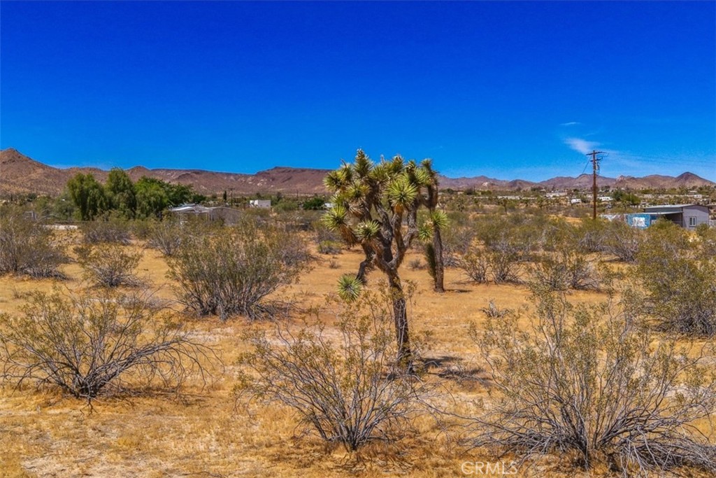 55926 Tanager Road Yucca Valley, CA 92284 - Photo 7 of 24