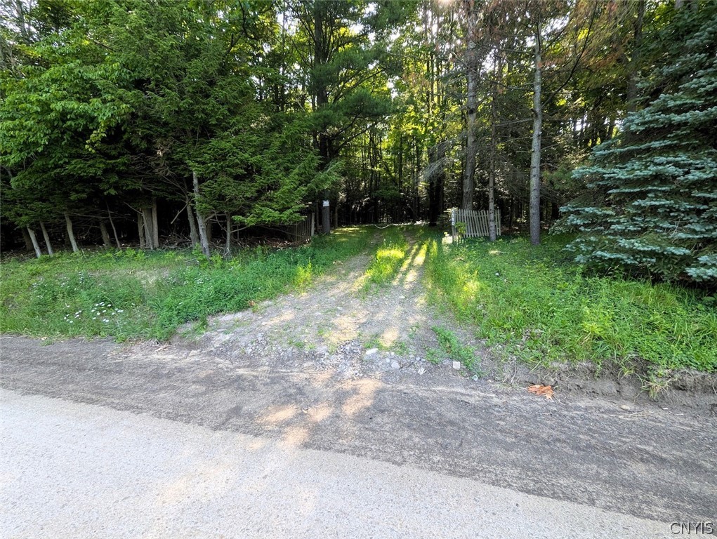 8880 Hemlock Road Wheeler, NY 14809 - Photo 42 of 50