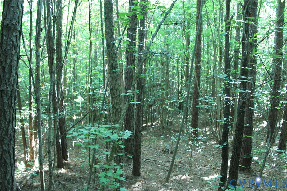 0 Floyd Road Brodnax, VA 23920 - Photo 11 of 30 a view of a garden
