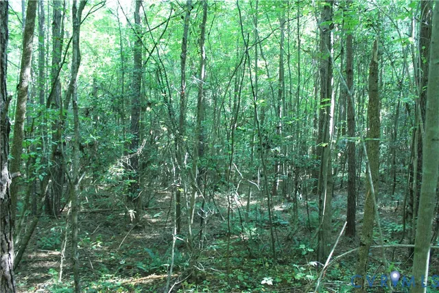 a map view of a garden