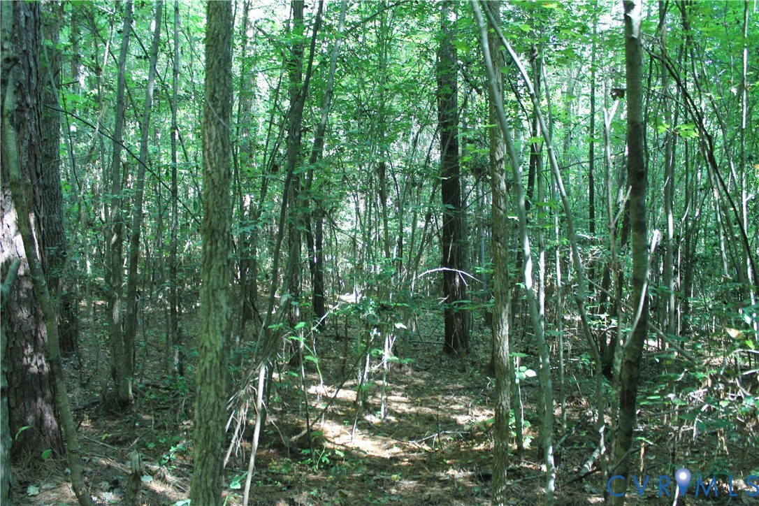 0 Floyd Road Brodnax, VA 23920 - Photo 20 of 30 a map view of a garden