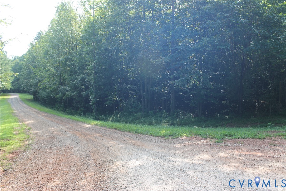 0 Floyd Road Brodnax, VA 23920 - Photo 2 of 30 a view of a yard with a trees