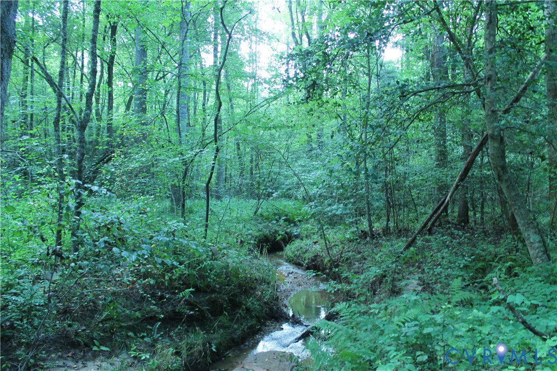 0 Floyd Road Brodnax, VA 23920 - Photo 22 of 30 a view of a lush green forest