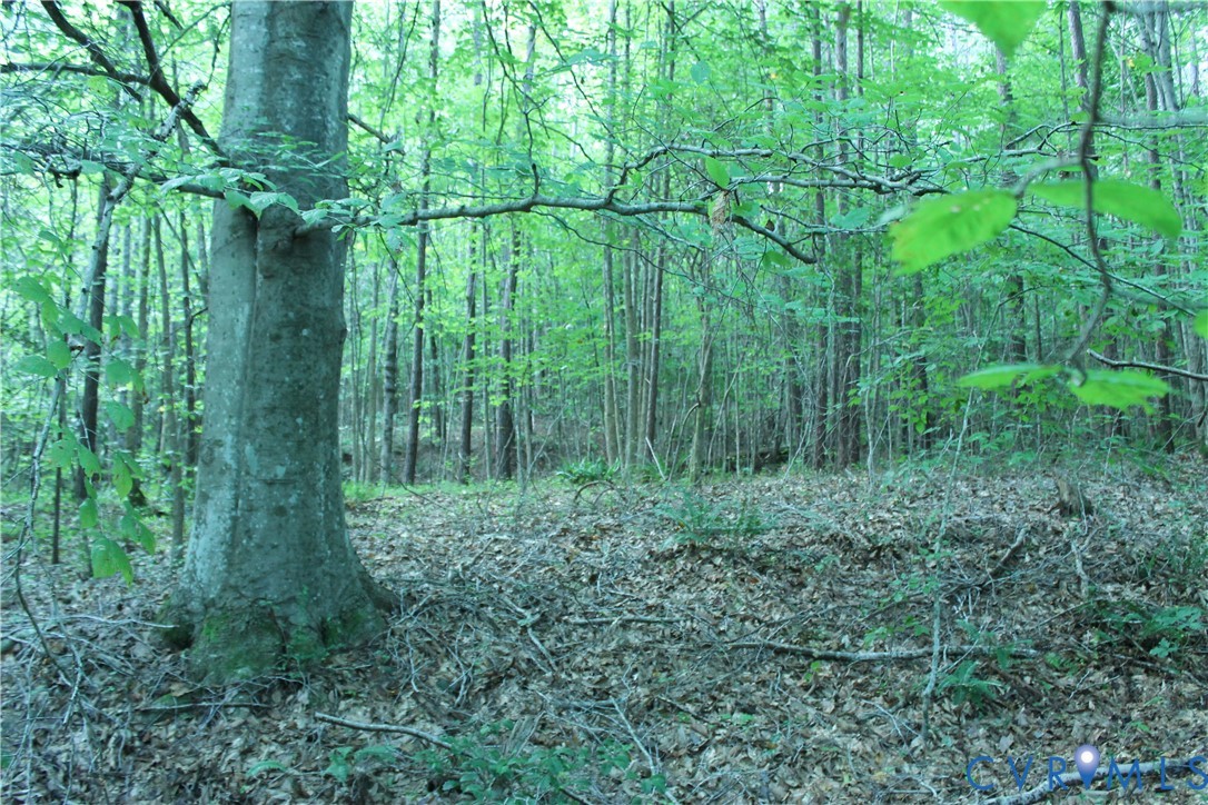 0 Floyd Road Brodnax, VA 23920 - Photo 24 of 30 a view of a garden