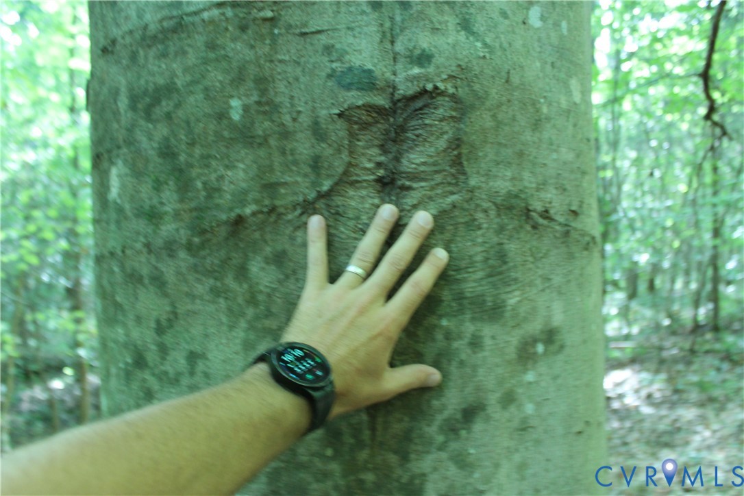 0 Floyd Road Brodnax, VA 23920 - Photo 25 of 30 a view of a yard