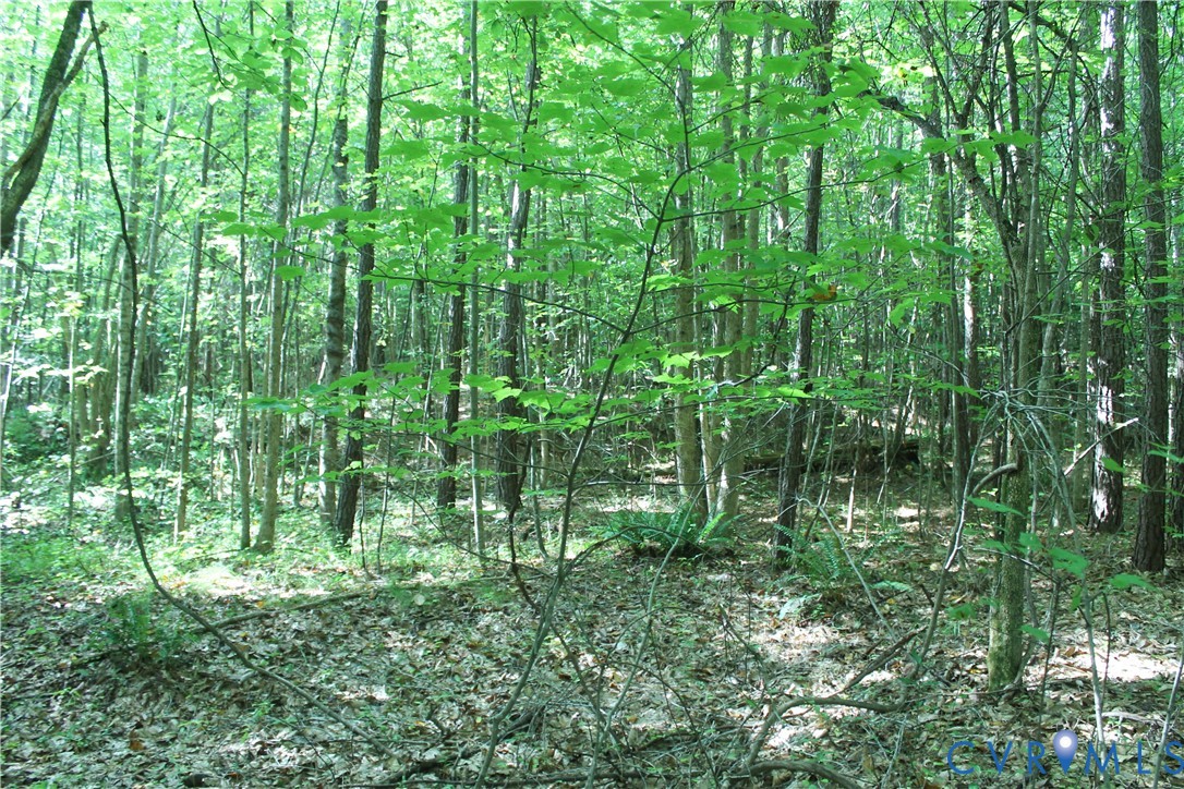 0 Floyd Road Brodnax, VA 23920 - Photo 26 of 30 a backyard of a house with lots of green space and trees all around
